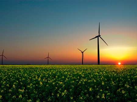 Quercus apela ao investimento nas energias renováveis 12/02/2015